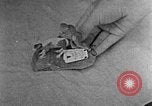 Image of handicraft arts United States USA, 1935, second 45 stock footage video 65675056234