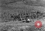 Image of sugarcane processing United States USA, 1935, second 1 stock footage video 65675056236