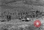 Image of sugarcane processing United States USA, 1935, second 3 stock footage video 65675056236