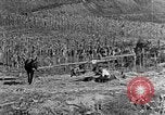 Image of sugarcane processing United States USA, 1935, second 4 stock footage video 65675056236