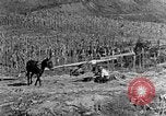 Image of sugarcane processing United States USA, 1935, second 5 stock footage video 65675056236