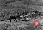 Image of sugarcane processing United States USA, 1935, second 6 stock footage video 65675056236