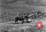 Image of sugarcane processing United States USA, 1935, second 7 stock footage video 65675056236