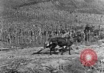 Image of sugarcane processing United States USA, 1935, second 8 stock footage video 65675056236