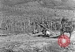 Image of sugarcane processing United States USA, 1935, second 10 stock footage video 65675056236
