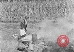 Image of sugarcane processing United States USA, 1935, second 22 stock footage video 65675056236