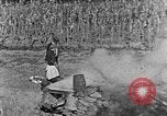 Image of sugarcane processing United States USA, 1935, second 25 stock footage video 65675056236