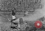 Image of sugarcane processing United States USA, 1935, second 28 stock footage video 65675056236
