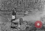 Image of sugarcane processing United States USA, 1935, second 29 stock footage video 65675056236