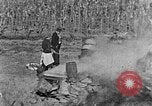 Image of sugarcane processing United States USA, 1935, second 30 stock footage video 65675056236