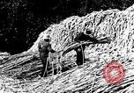 Image of sugarcane processing United States USA, 1935, second 39 stock footage video 65675056236
