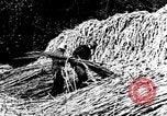 Image of sugarcane processing United States USA, 1935, second 40 stock footage video 65675056236