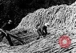 Image of sugarcane processing United States USA, 1935, second 42 stock footage video 65675056236