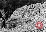 Image of sugarcane processing United States USA, 1935, second 44 stock footage video 65675056236