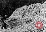 Image of sugarcane processing United States USA, 1935, second 45 stock footage video 65675056236