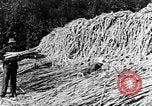 Image of sugarcane processing United States USA, 1935, second 46 stock footage video 65675056236