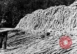 Image of sugarcane processing United States USA, 1935, second 47 stock footage video 65675056236