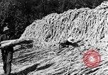 Image of sugarcane processing United States USA, 1935, second 48 stock footage video 65675056236
