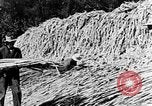 Image of sugarcane processing United States USA, 1935, second 49 stock footage video 65675056236