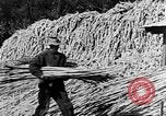 Image of sugarcane processing United States USA, 1935, second 50 stock footage video 65675056236