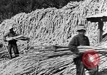 Image of sugarcane processing United States USA, 1935, second 51 stock footage video 65675056236