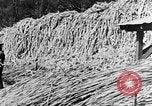 Image of sugarcane processing United States USA, 1935, second 52 stock footage video 65675056236