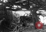 Image of sugarcane processing United States USA, 1935, second 53 stock footage video 65675056236