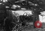 Image of sugarcane processing United States USA, 1935, second 55 stock footage video 65675056236