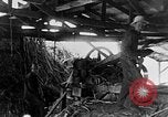 Image of sugarcane processing United States USA, 1935, second 56 stock footage video 65675056236