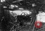 Image of sugarcane processing United States USA, 1935, second 60 stock footage video 65675056236