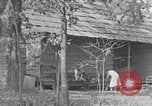 Image of wooden log United States USA, 1935, second 22 stock footage video 65675056241