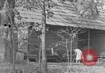 Image of wooden log United States USA, 1935, second 27 stock footage video 65675056241