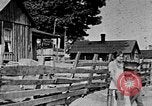 Image of rural life United States USA, 1935, second 23 stock footage video 65675056243
