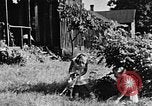 Image of children at school United States USA, 1935, second 45 stock footage video 65675056244