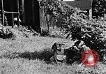 Image of children at school United States USA, 1935, second 46 stock footage video 65675056244