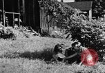 Image of children at school United States USA, 1935, second 48 stock footage video 65675056244