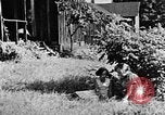 Image of children at school United States USA, 1935, second 53 stock footage video 65675056244