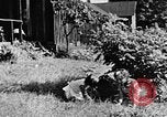 Image of children at school United States USA, 1935, second 55 stock footage video 65675056244