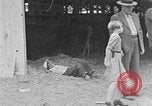 Immagine di I ragazzi americani United States USA, 1935, secondo 38 filmato di repertorio 65675056246
