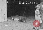 Immagine di I ragazzi americani United States USA, 1935, secondo 39 filmato di repertorio 65675056246