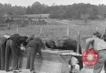 Standbild amerikanischen Studenten United States USA, 1935, aus Sekunde 53 historischem Filmmaterial Videoclip 65675056247