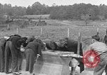 Standbild amerikanischen Studenten United States USA, 1935, aus Sekunde 54 historischem Filmmaterial Videoclip 65675056247