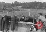 Standbild amerikanischen Studenten United States USA, 1935, aus Sekunde 56 historischem Filmmaterial Videoclip 65675056247