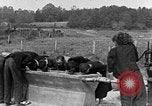 Standbild amerikanischen Studenten United States USA, 1935, aus Sekunde 61 historischem Filmmaterial Videoclip 65675056247