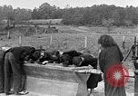 Standbild amerikanischen Studenten United States USA, 1935, aus Sekunde 62 historischem Filmmaterial Videoclip 65675056247