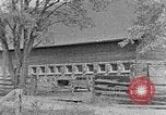 Standbild ländlichen Lebens United States USA, 1935, aus Sekunde 12 historischem Filmmaterial Videoclip 65675056249