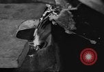 Standbild verwendeten Waffen Chicago Illinois USA, 1938, aus Sekunde 36 historischem Filmmaterial Videoclip 65675056256