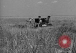 Standbild Swamp mobile Fahrzeug New Orleans Louisiana USA, 1938, aus Sekunde 33 historischem Filmmaterial Videoclip 65675056257