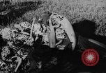 Image of Frank Monroe Hawks East Aurora New York USA, 1938, second 28 stock footage video 65675056259