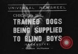 Image of trained dogs Chicago Illinois USA, 1938, second 1 stock footage video 65675056261